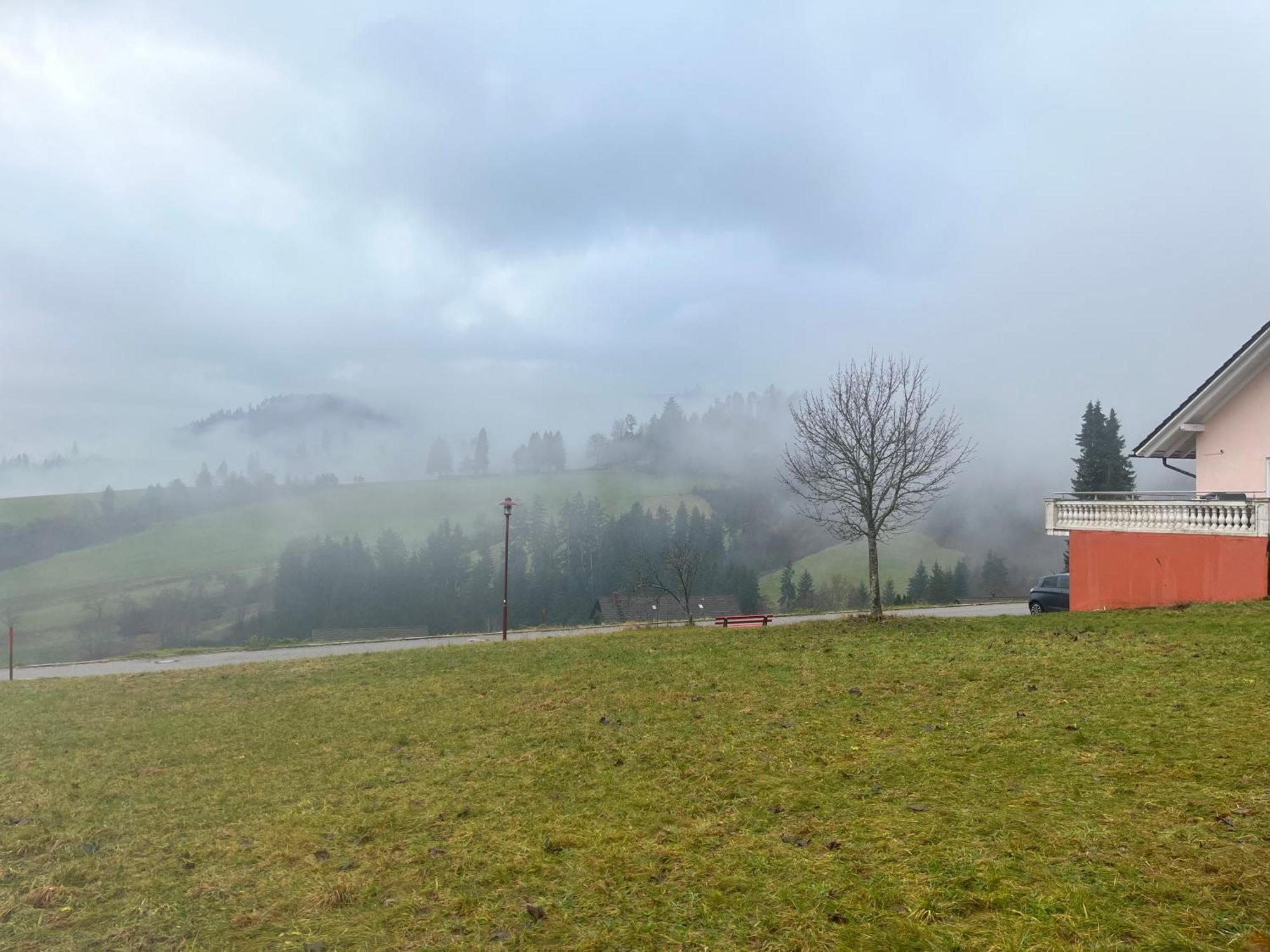 Appartamento Angelina Baiersbronn Esterno foto