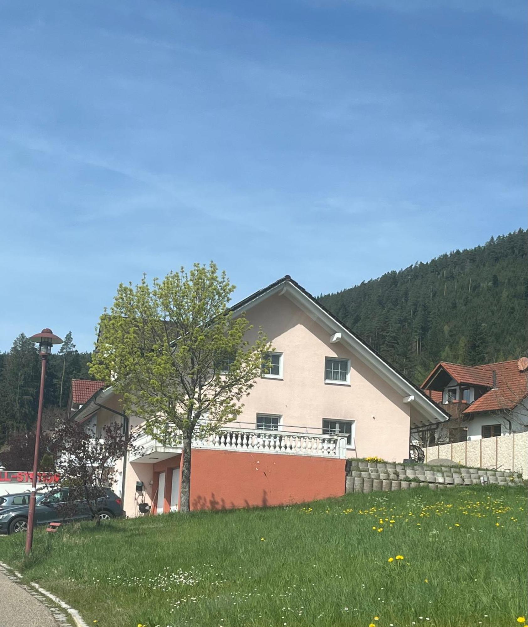 Appartamento Angelina Baiersbronn Esterno foto