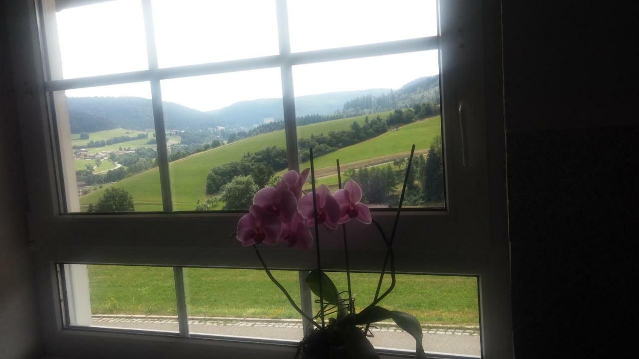 Appartamento Angelina Baiersbronn Esterno foto